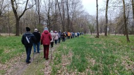 nordic walking i charzewice1