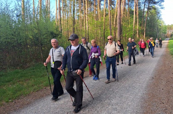 Nordic walking 2024